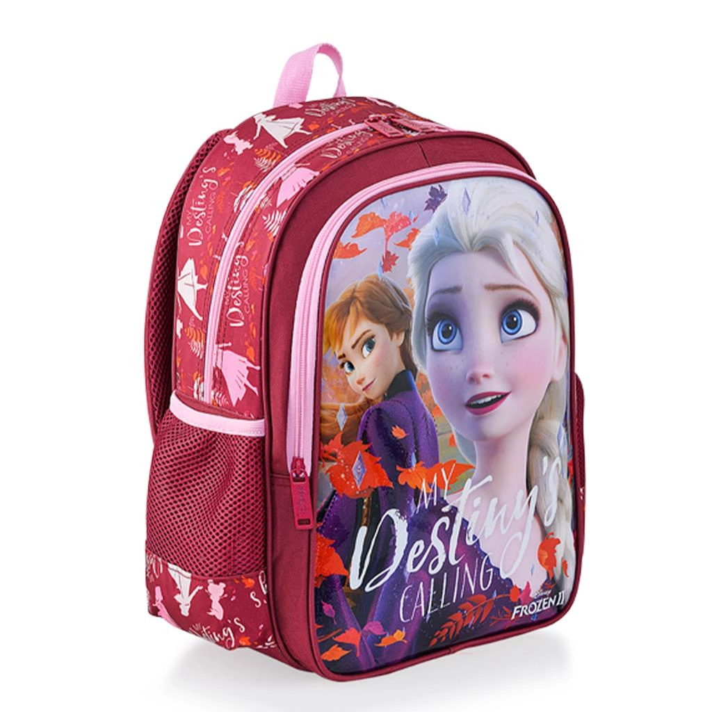 Frozen Okul Çantası İkili Takım 48031