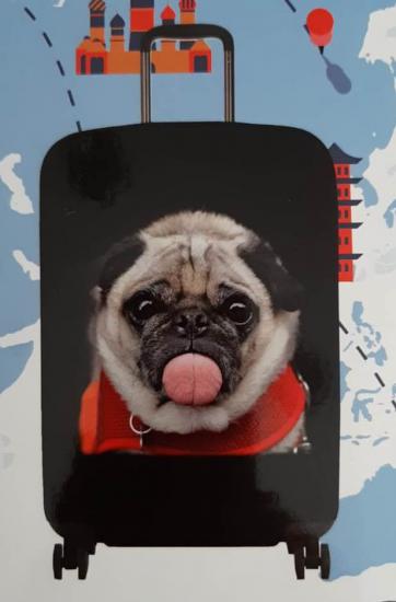 Likralı Valiz Kılıfı Büyük Boy